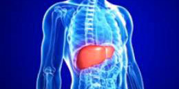 liver-transplant
